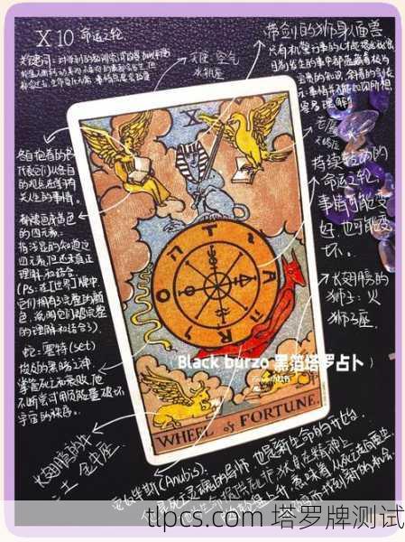 塔罗牌中的老鼠，解读被忽视的智慧与生存启示