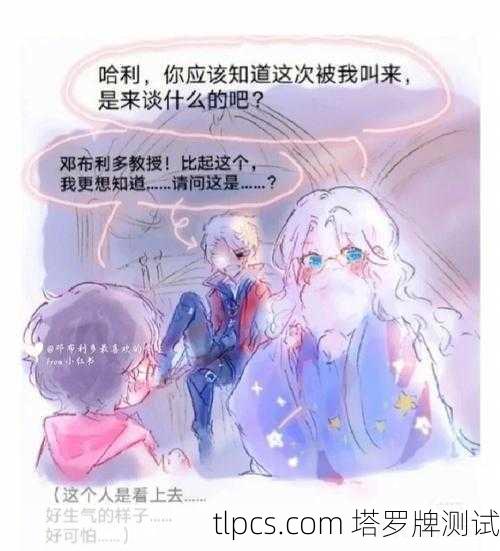 与纽特塔罗的相遇,当神秘卡牌照亮我的生命暗角