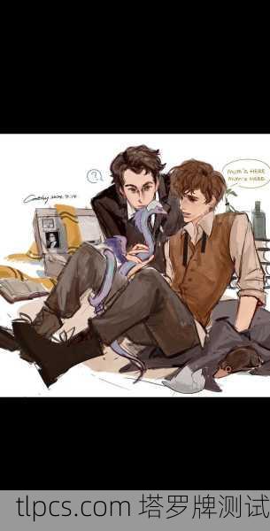 与纽特塔罗的相遇,当神秘卡牌照亮我的生命暗角