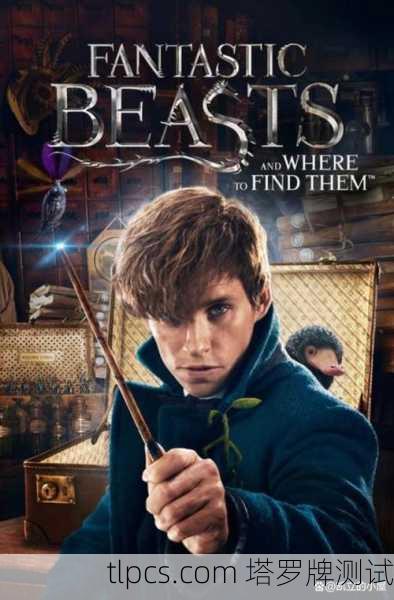 与纽特塔罗的相遇,当神秘卡牌照亮我的生命暗角