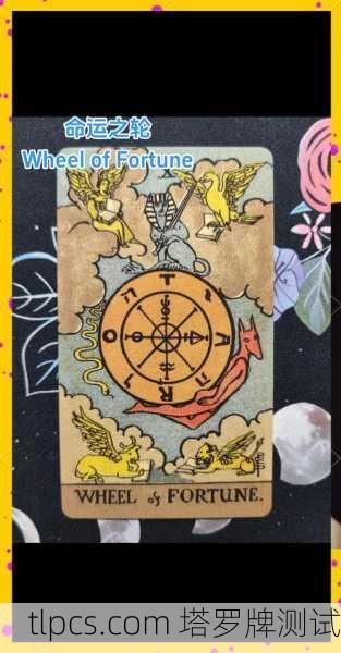 命运塔罗牌国王，当我翻开那张改变人生的牌