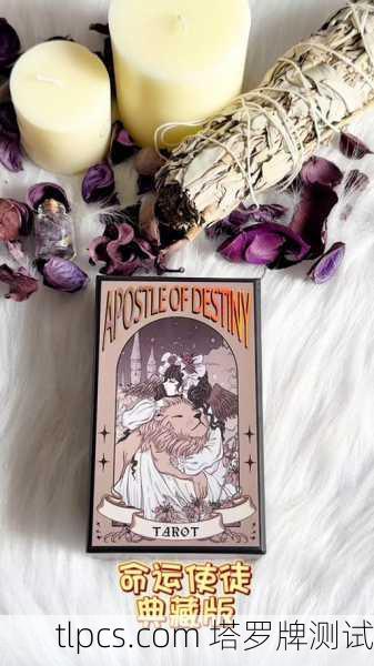 塔罗武魂，占卜师手中的命运之牌