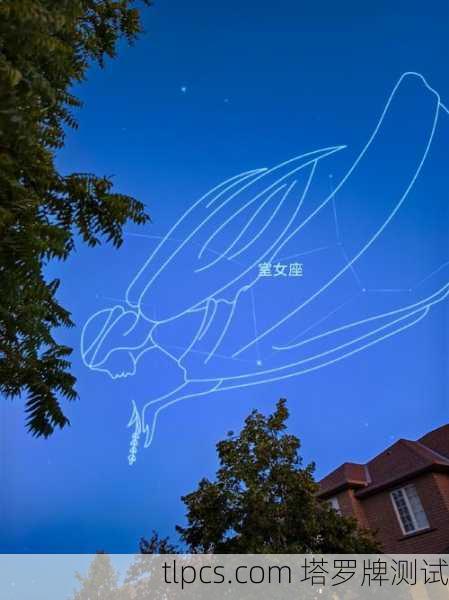 十七号塔罗牌，当星辰坠落，我学会了仰望