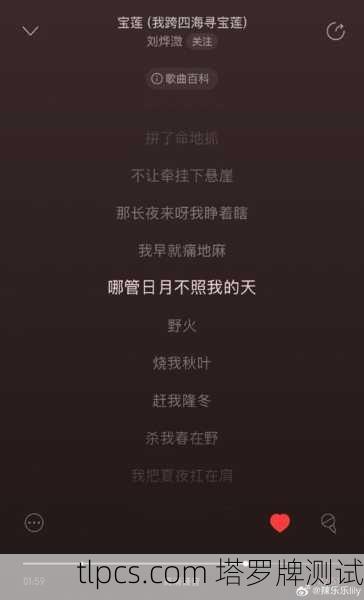 歌词塔罗牌蔡依林,在倒带与玫瑰少年间,测你未知的人生剧本