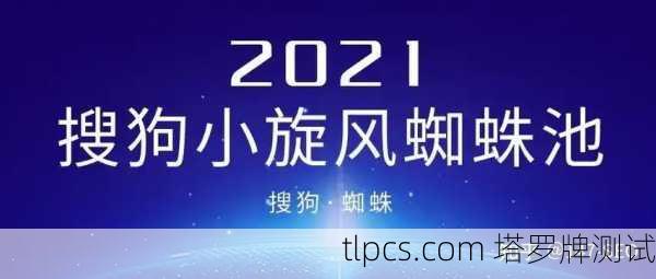 蜘蛛池优化：提高网站搜索引擎排名