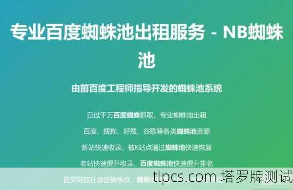 蜘蛛池SEO：这种神秘的黑客技术真的能提高网站排名吗？