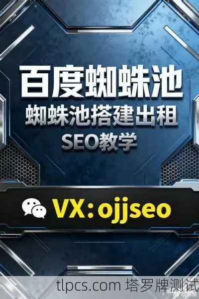 5个高效搭建蜘蛛池的方法