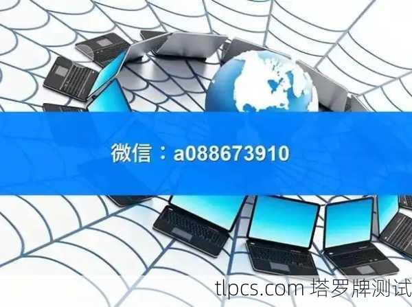 百度蜘蛛池租用实战教程：实用攻略与操作指南