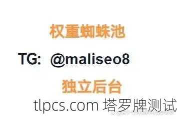 百度蜘蛛池优化策略