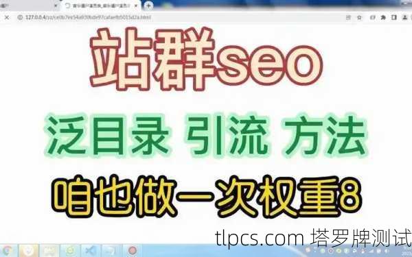 利用百度蜘蛛池优化SEO策略：提高网站排名和流量