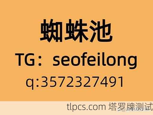深入理解蜘蛛池：技术解析与实践应用