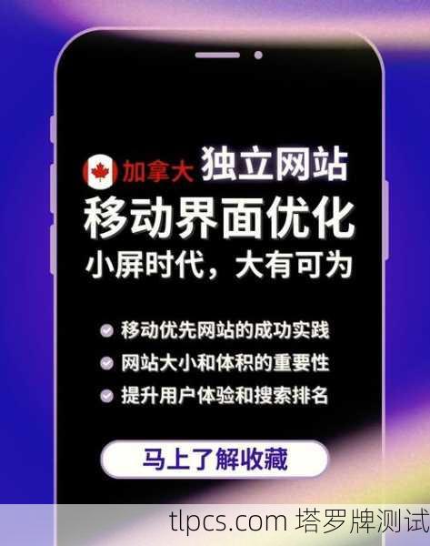 蜘蛛池优化：提升网站性能的关键策略