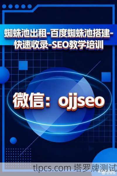 蜘蛛池优化：提升网站性能的关键策略