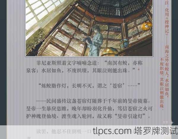 塔罗牌小说，命运之轮的启示与抉择