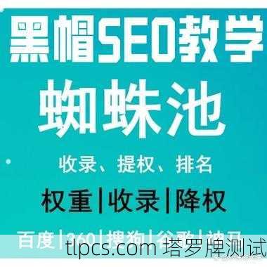 提升百度蜘蛛池收录效果的五个实用方法