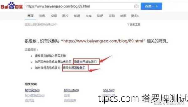 百度蜘蛛池SEO：对网站排名有何影响？揭开其背后的秘密机制