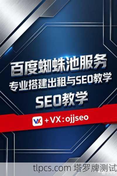 百度蜘蛛池SEO：对网站排名有何影响？揭开其背后的秘密机制