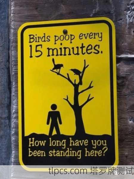 双鸭山寻牌记，一座煤城里的塔罗奇遇